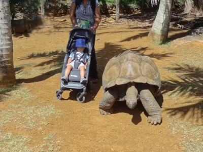 Vacanze a Mauritius con un bambino in passeggino