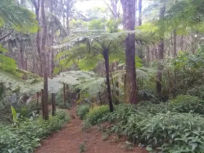Passeggiata naturalistica di Sophie